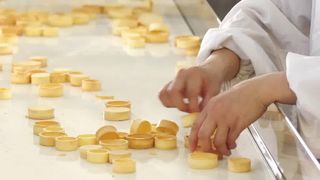 خط تولید پوسته تارت اتوماتیک